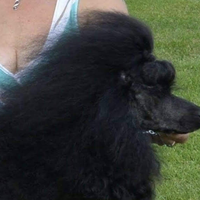 image_3L6EXbOOPgxZf0aGdRsksk_Original